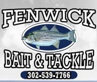 Fenwick Island Fishing Report