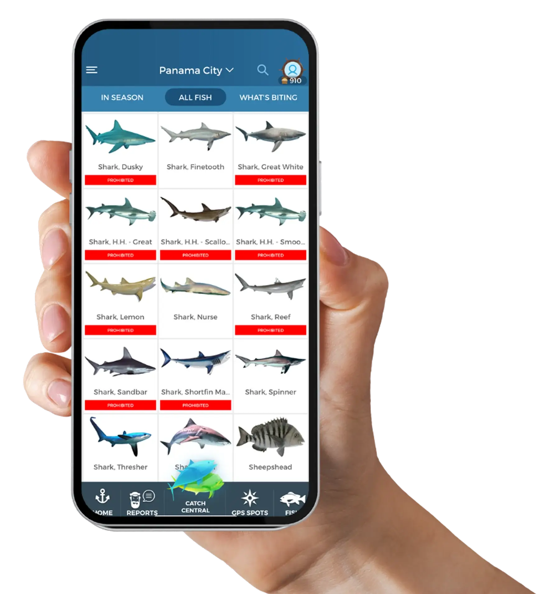 Fish species regulations in Pro Angler app