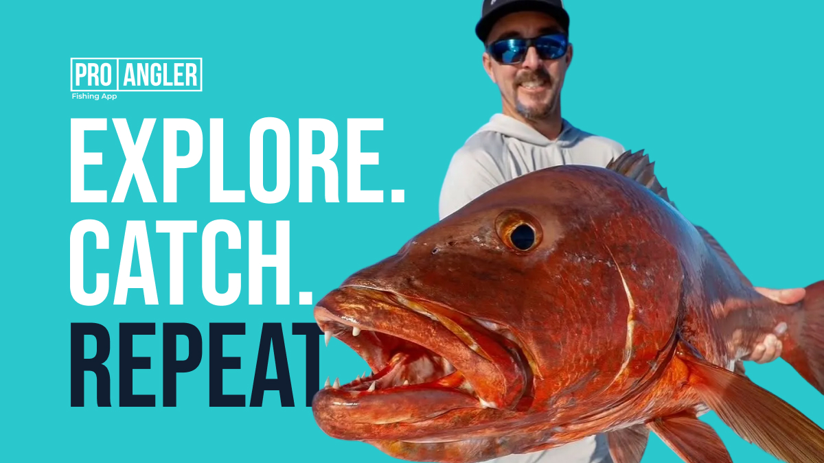 A New Look for Pro Angler: Same Intel. Smarter Experience. - Pro Angler ...